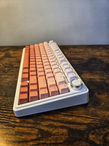 Aula 75 Blush thumbnail 3